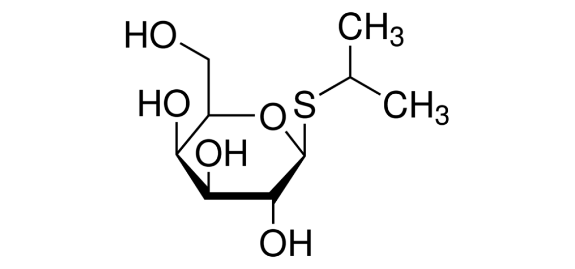 首页 - 横幅